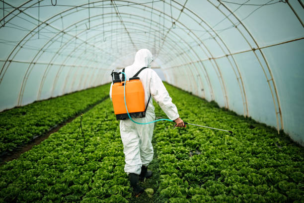 Best Best Pest Control Companies  in Colonial Heights, VA