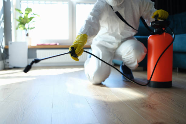 Best Wasp Removal Services  in Colonial Heights, VA