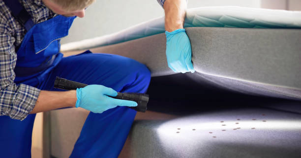 Best Ant Control Services  in Colonial Heights, VA