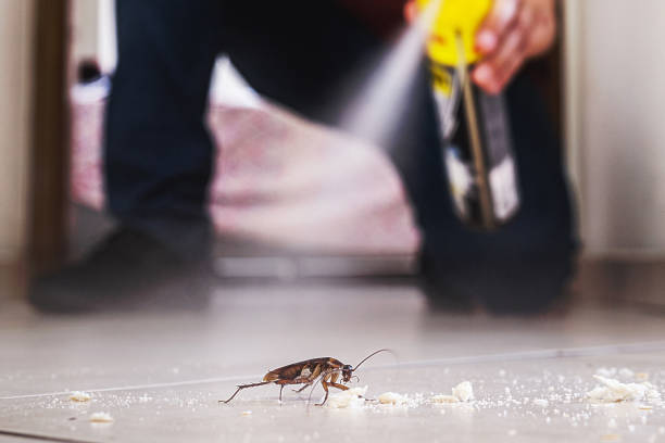 Best Pest Prevention Services  in Colonial Heights, VA
