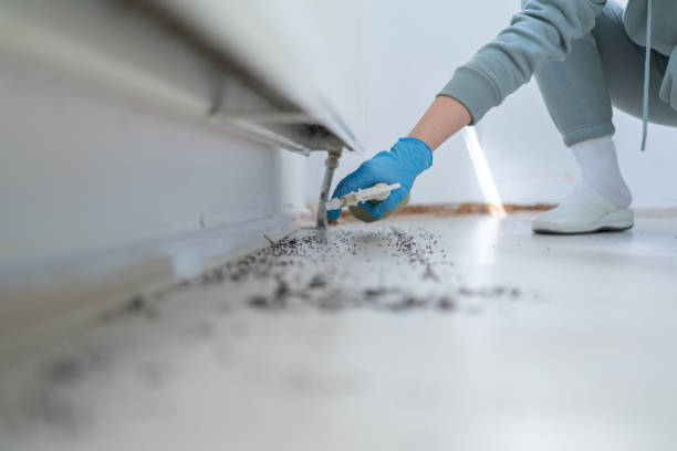 Professional Pest Control in Colonial Heights, VA